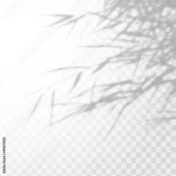 Fototapeta Realistic shadow tropical leaves and branches on transparent checkered background. The effect of overlaying shadows. Natural light layout.