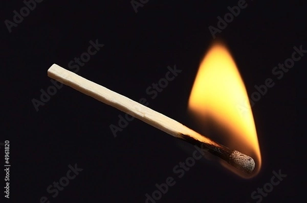 Fototapeta fired match