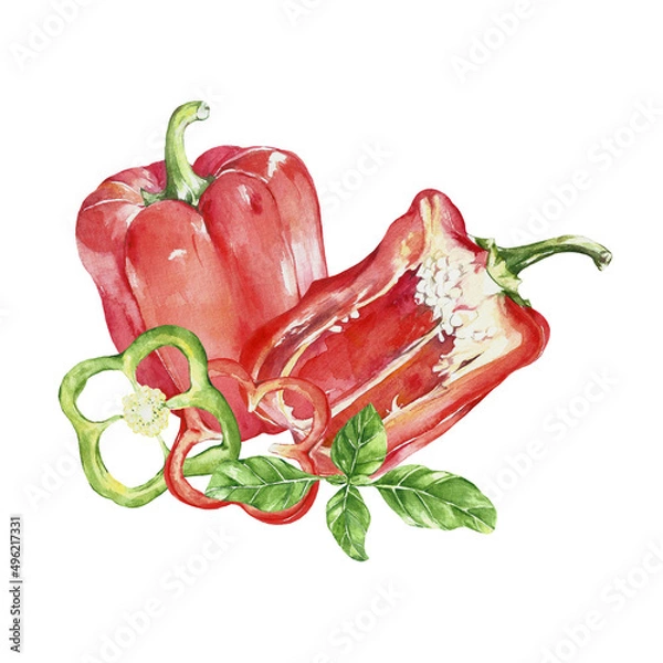 Obraz watercolor illustration vegetables. pepper, basil