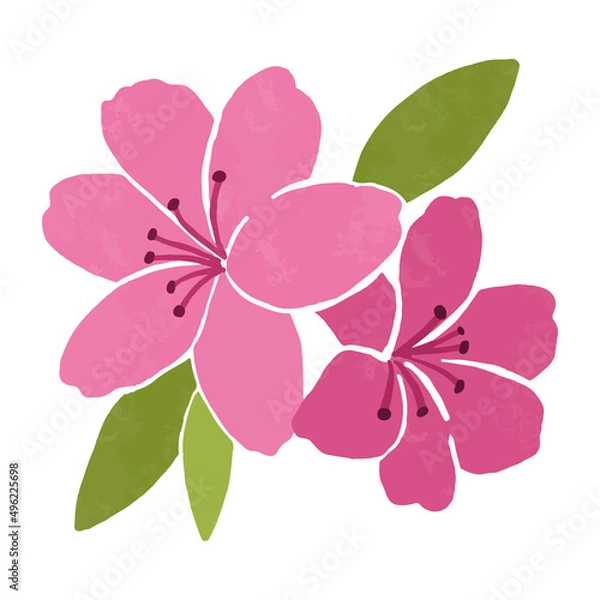 Fototapeta ツツジのシンプルな手書きベクターイラスト