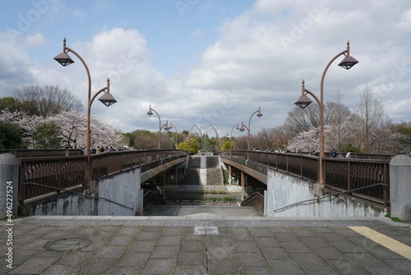 Obraz 光が丘公園