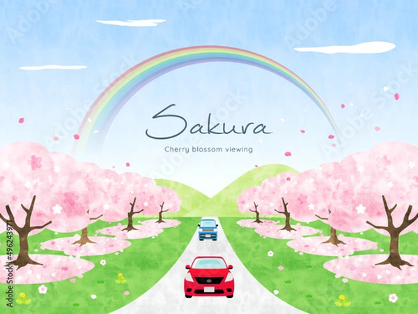 Obraz 桜並木を車でドライブするイラスト