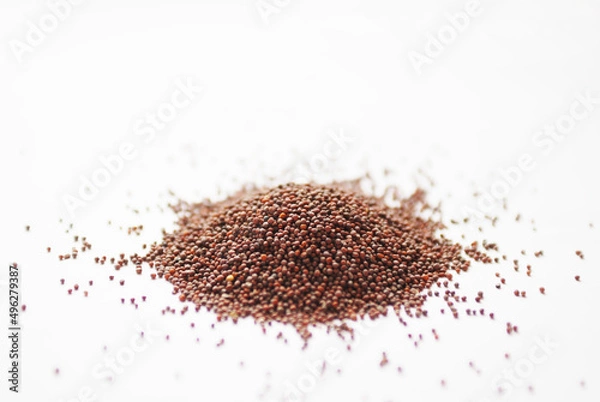 Obraz Senf Samen auf weissem Hintergrund