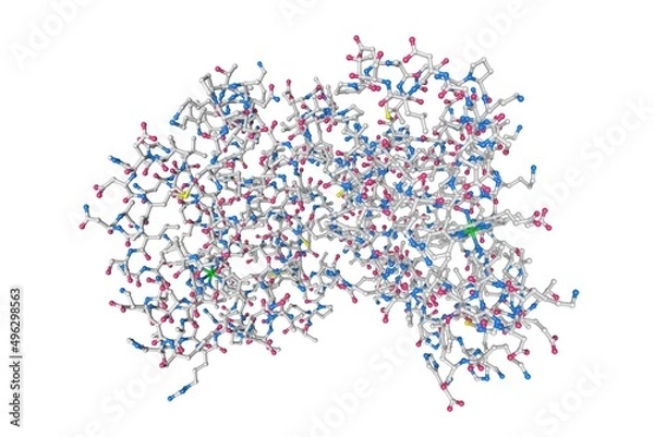 Fototapeta Human hemoglobin nitric oxide adduct. Molecular model. Rendering based on protein data bank entry 4n8t. Scientific background. 3d illustration