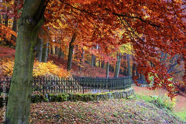 Obraz Jesienne kolory w parku