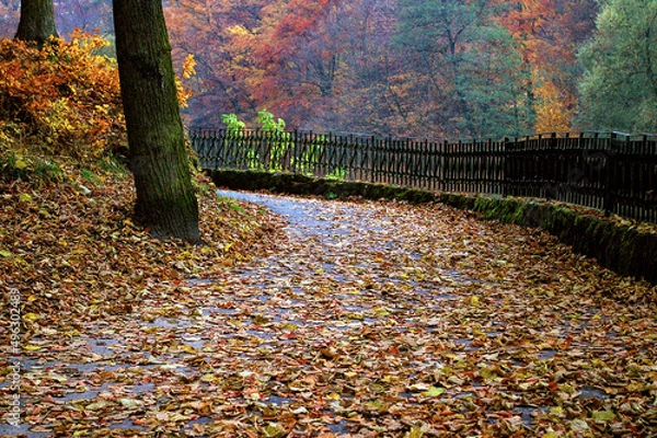 Obraz Jesienne kolory w parku