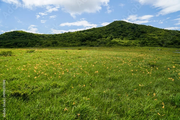 Fototapeta 雄国沼