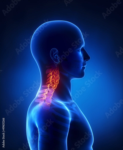 Obraz Cervical spine lateral view