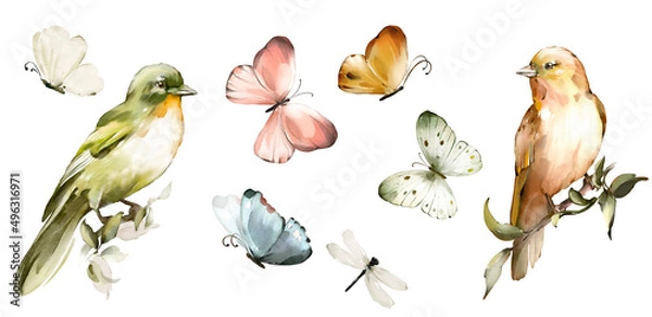 Obraz Watercolor green and yellow birds and pink butterflies. vintage set
