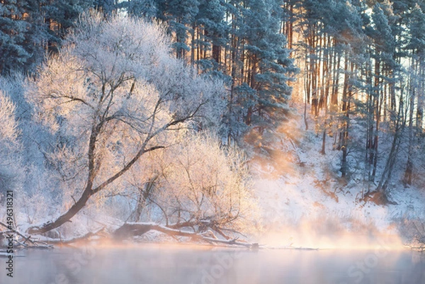 Fototapeta Misty winter sunrise in the wood. Bright rays on tops trees. Fog over the river. Frost on branches of trees and land.