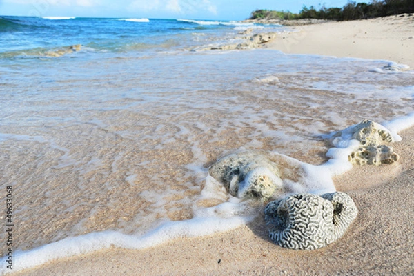 Fototapeta Cuban wild beach