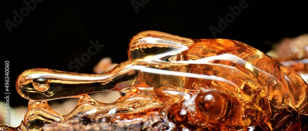 Obraz Solid amber resin drops on a tree trunk.