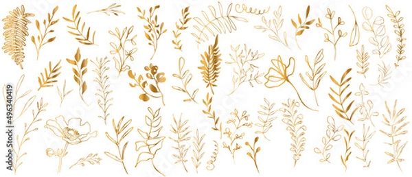 Obraz Big hand drawn colorful gold plant set - universally usable. Botanical, chic and trendy plants. Hand drawn lines, elegant leaves for your own design. Flower branch and minimalistic modern plants.