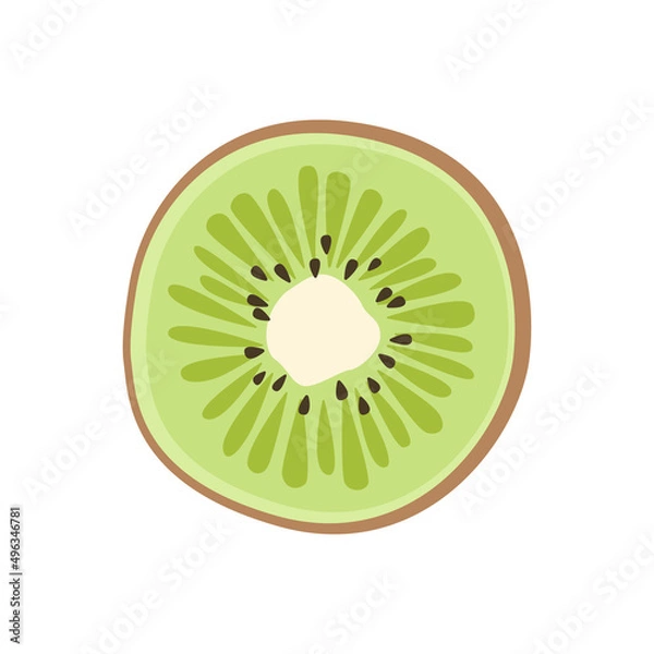 Fototapeta Kiwi slice. Kiwi cut. Flat vector illustration in cartoon style