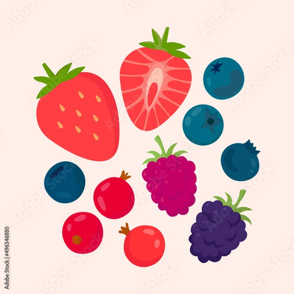 Fototapeta Forest berries set. Flat vector illustration in cartoon style. Isolated.