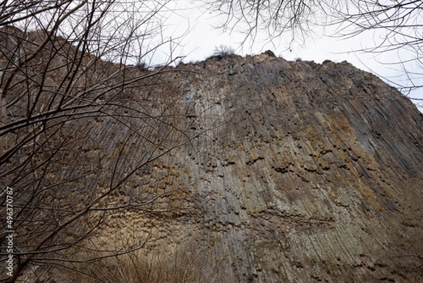 Obraz view through the trees to the basalt pillars