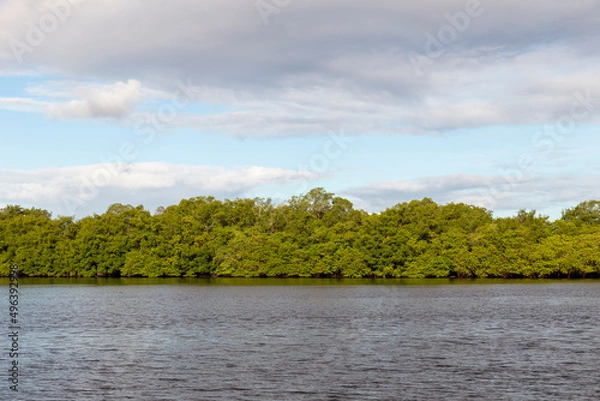 Obraz Rio Taperoá-Ba