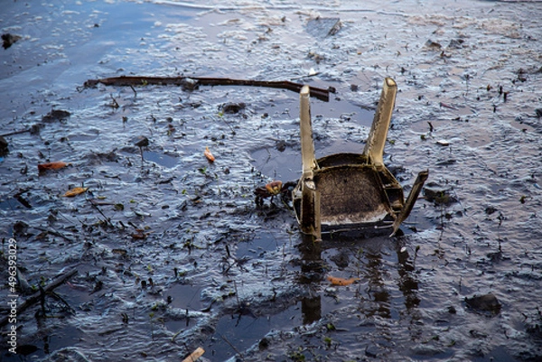 Obraz Mangue com Lixo