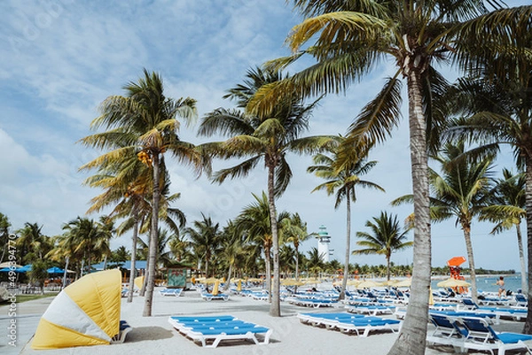 Fototapeta beach with palm trees