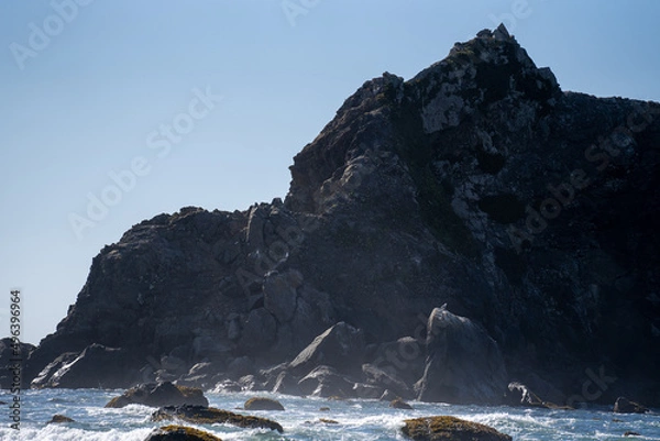 Fototapeta pacific coastline