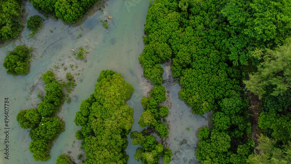 Fototapeta 沖縄県南部のマングローブ林を空から撮影した写真