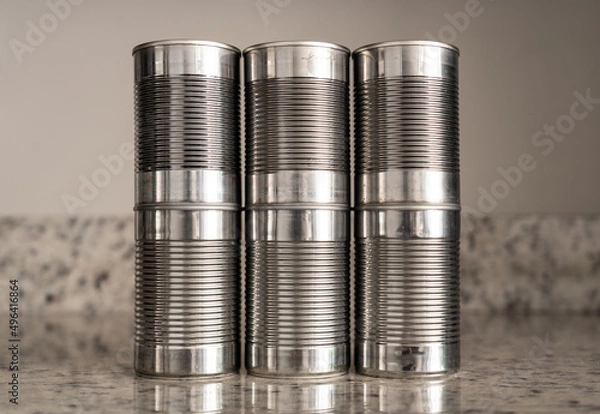 Obraz Canned food drive