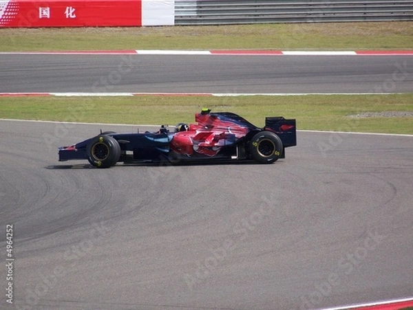 Fototapeta mały toro