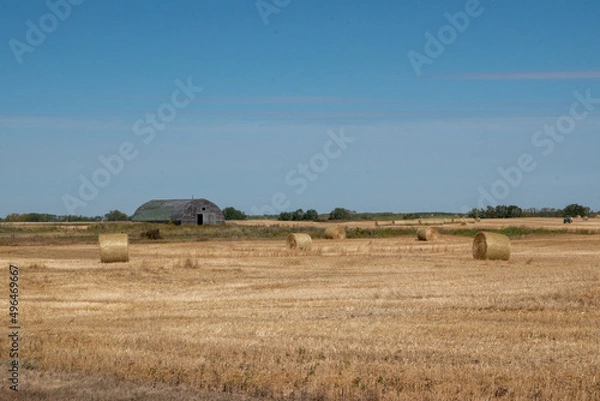 Fototapeta Abandoned barn in rural Saskatchewan, Canada