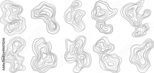 Obraz Set of abstract tree rings. Vector topographic map design elements. Contour map concept. Thin wavy lines.