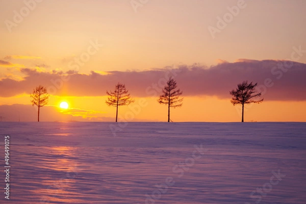 Obraz 冬のメルヘンの丘