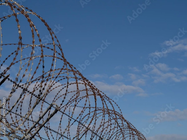 Obraz Barbed steel razor wire against sky background. Barrier.