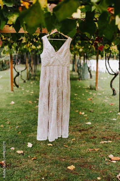 Obraz Vineyard Wedding Dress