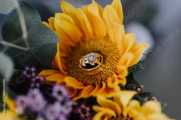 Obraz Sunflower Wedding Rings