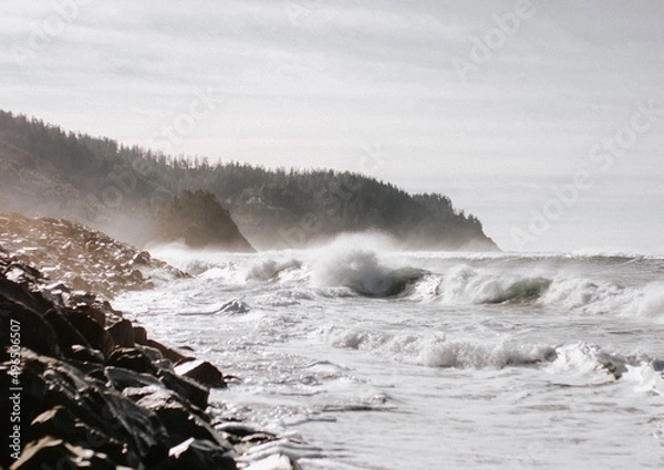 Obraz Crashing Coastline Waves