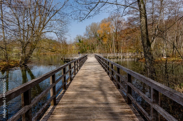 Obraz Teich beim Affenberg Salem