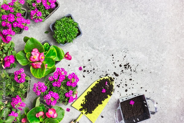 Obraz Garden tools and spring flowers on a stone table