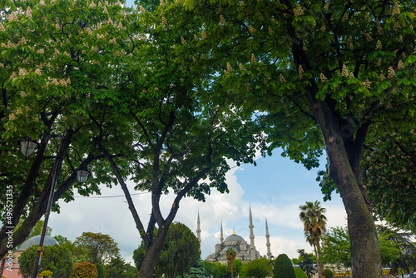 Fototapeta The Sultan Ahmed Mosque (Blue Mosque) and fountain view from the Sultanahmet Park in Istanbul, Turkey
