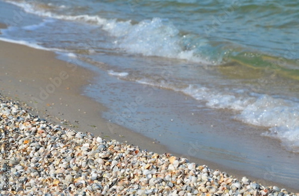 Fototapeta sea ​​waves and sandy seashore with shells.background