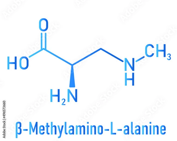 Fototapeta beta-Methylamino-L-alanine (BMAA) toxic amino acid molecule. Produced by cyanobacteria. Skeletal formula.