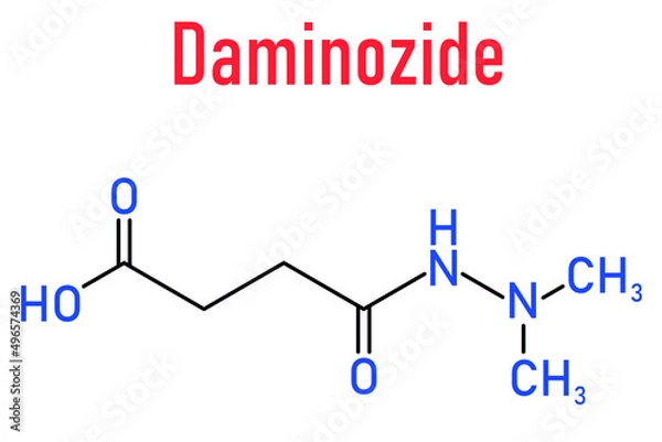 Fototapeta Daminozide (Alar) plant growth regulator molecule. Has been banned because of carcinogenicity concerns. Skeletal formula.