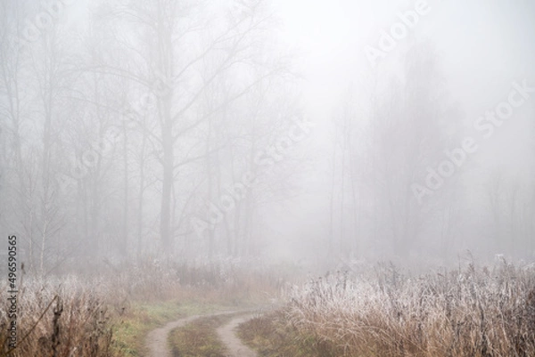 Fototapeta Bend of  dirt road running through field with dry grass white with frost, silhouettes of bare trees  visible on horizon through thick fog, cold autumn morning landscape