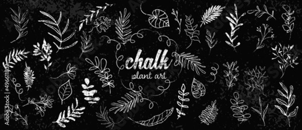 Obraz Chalk plant art set. Individual design elements for your own project. Great effect structure. Hand drawn colorful chalk plant set - universally usable. Hand drawn lines and elegant leaves.