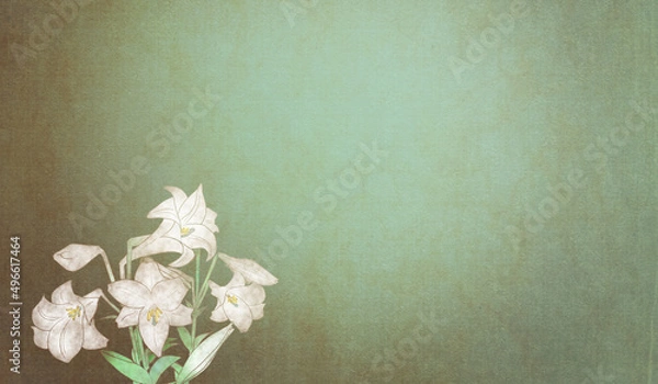 Fototapeta 浮世絵調グラデーションに白百合（テッポウユリ）の和風背景イラストグリーン系