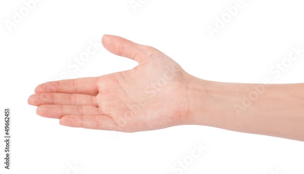 Obraz Empty open woman hand