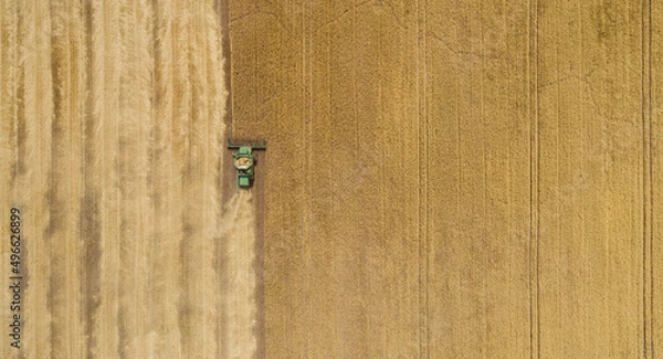 Obraz Aerial view combine harvester harvesting on the field