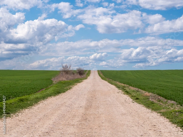 Fototapeta The road to the sky in the middle of green field on a sunny day and cloudy blue sky.