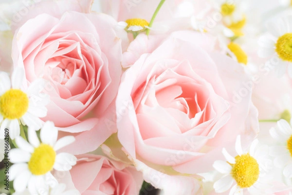 Fototapeta 優しいピンク色のバラの花束