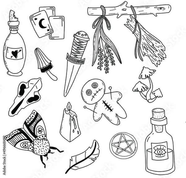Obraz Hand drawn magic set, witchcraft vector doodle. Magician and alchemy tools collection: feather, mushrooms, candle, herbs, bones. Vector illustration