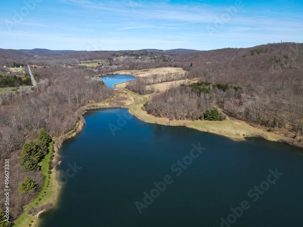 Obraz Lake in the forest