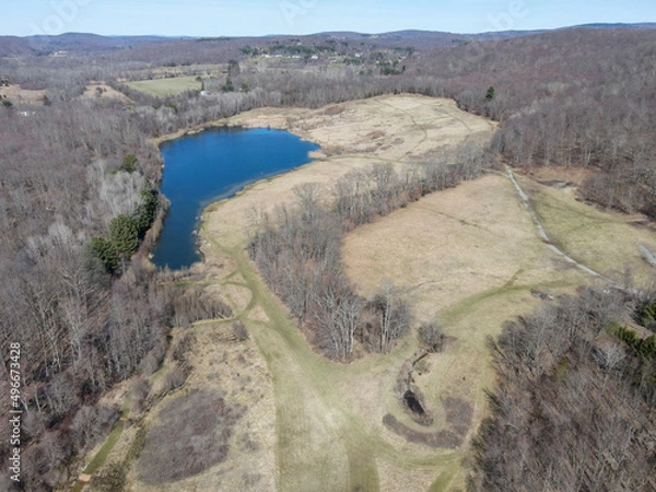 Obraz Hidden lake in the forest